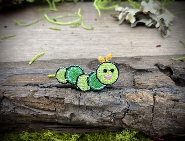 Small Green Caterpillar