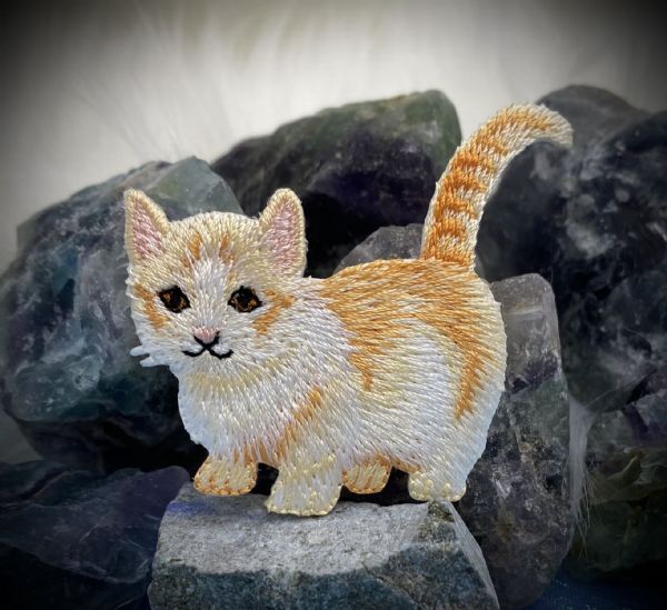 Cream and Orange Tabby Cat