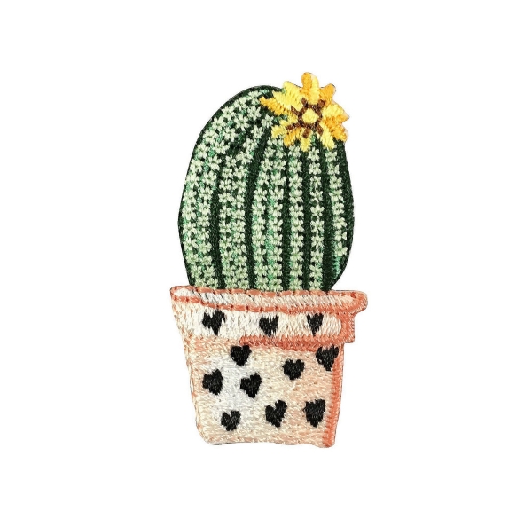 Barrel Cactus -Yellow Flower