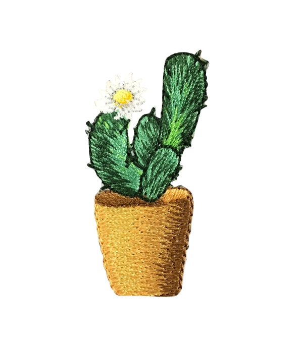 Cactus - White Flower