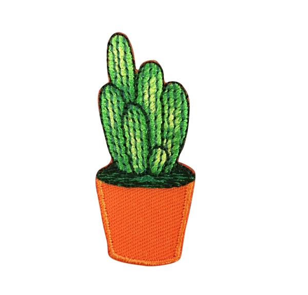 Cactus - Orange Pot