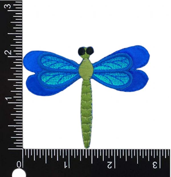 Blue Dragonfly