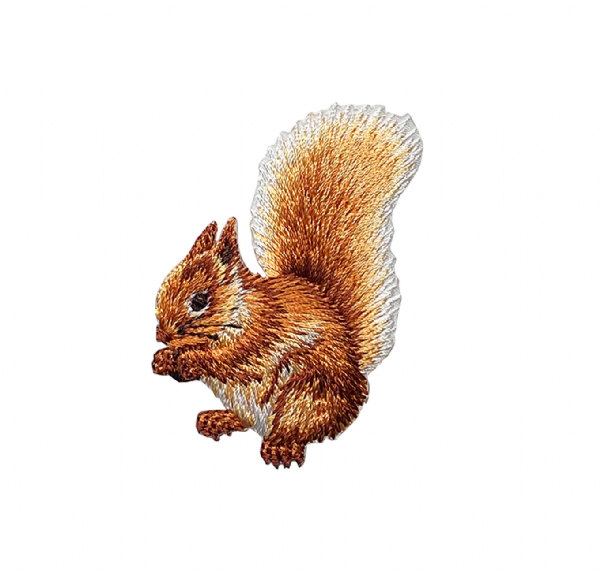 Natural Squirrel Eating Nuts