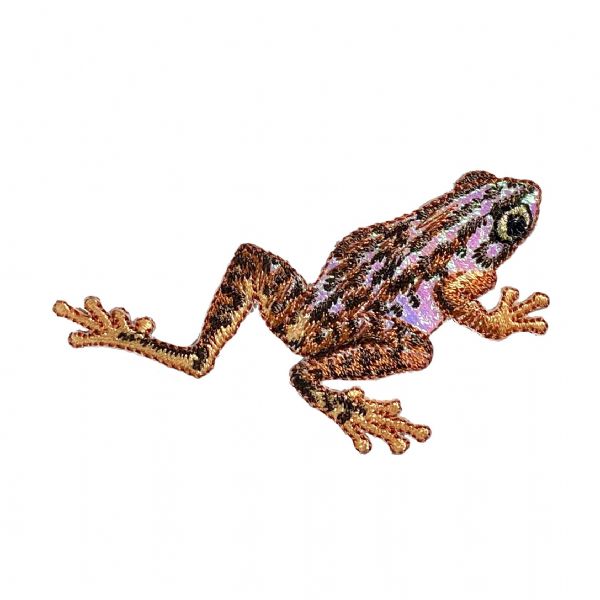 Shiny Brown Frog