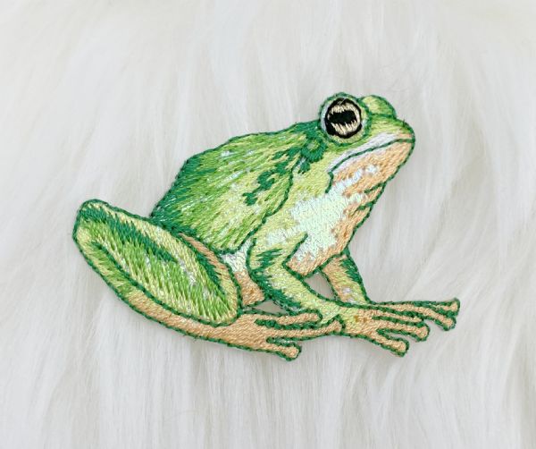 Shiny Frog