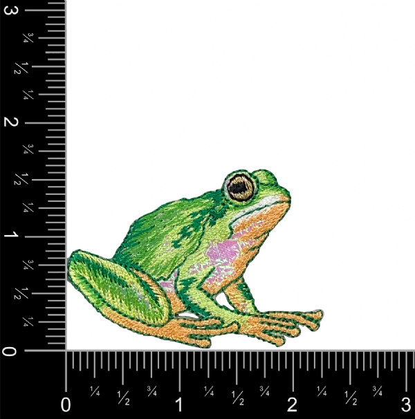 Shiny Frog