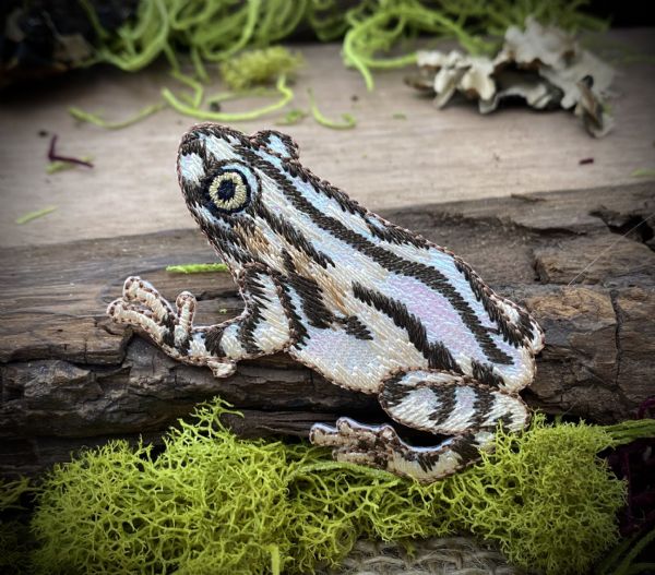 Shiny Brown Frog