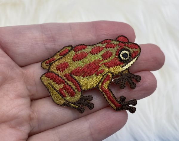 Shiny Red Frog