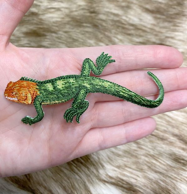 Shiny Green/Brown Lizard