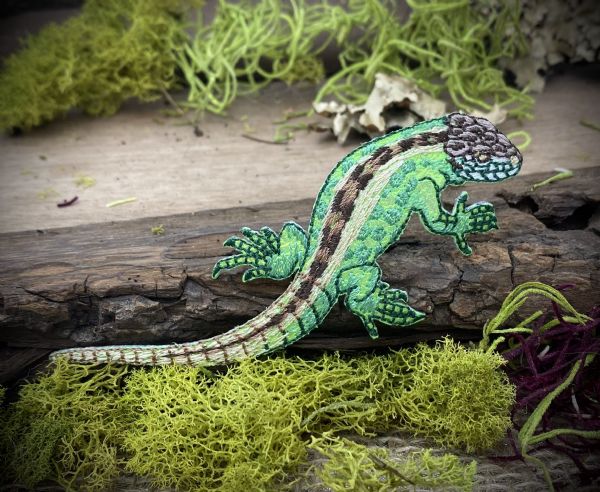 Shiny Green Lizard