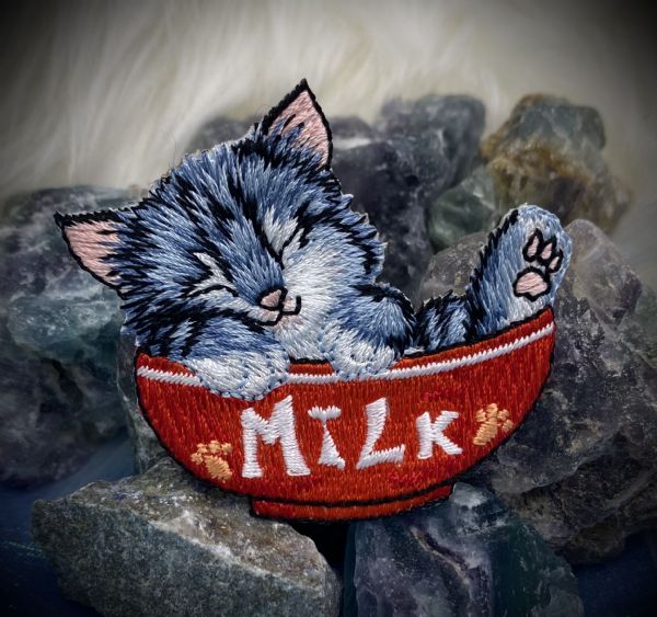 Gray Kitty Cat in Milk Bowl