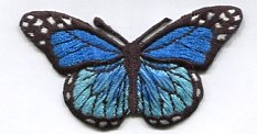 Blue Butterfly