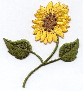 Sunflower on Stem