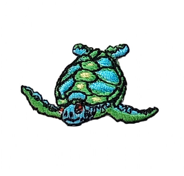 Small Sea Turtle Facing Left