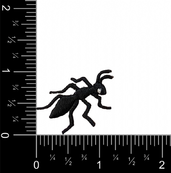 Black Ant - Right