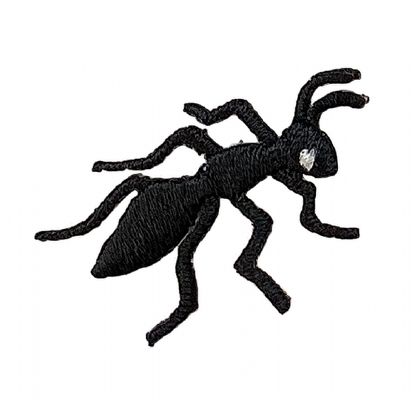 Black Ant - Right