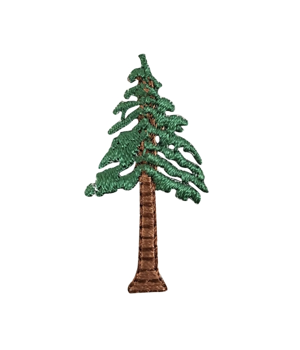 Small Pine Tree