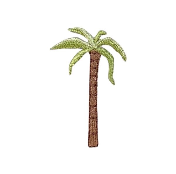 Palm Tree