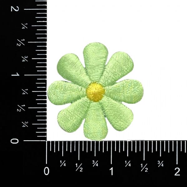 Medium Neon Green Daisy Flower