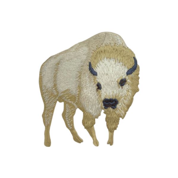 White Buffalo American Bison