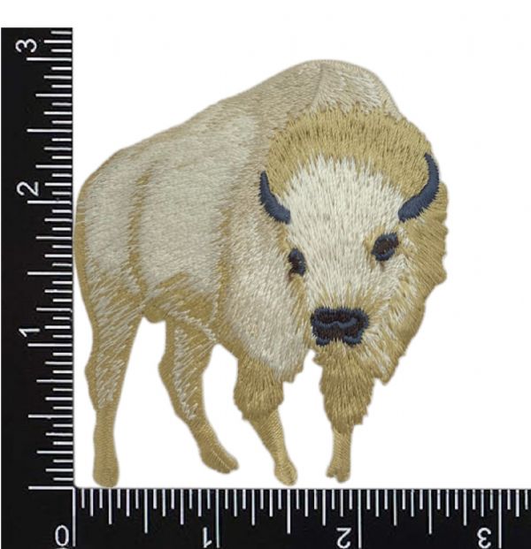 White Buffalo American Bison