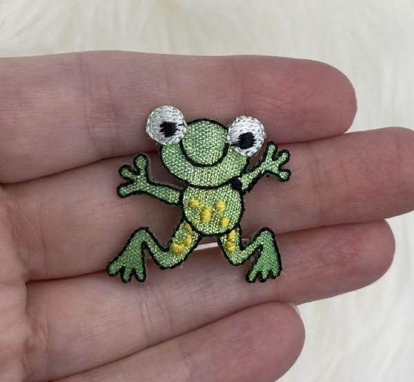 Shiny Green Frog
