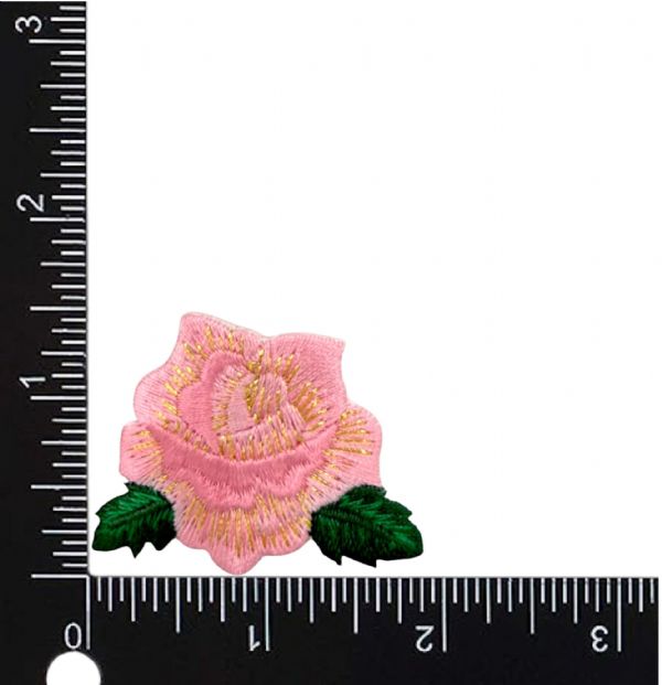 Pink Rose with Petals and Leaves