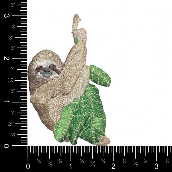 Sloth on Branch