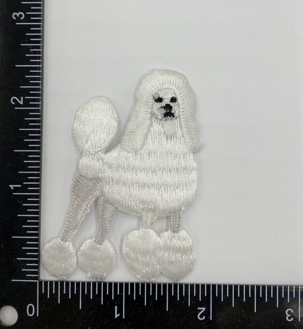 White Poodle