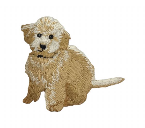 Golden Doodle