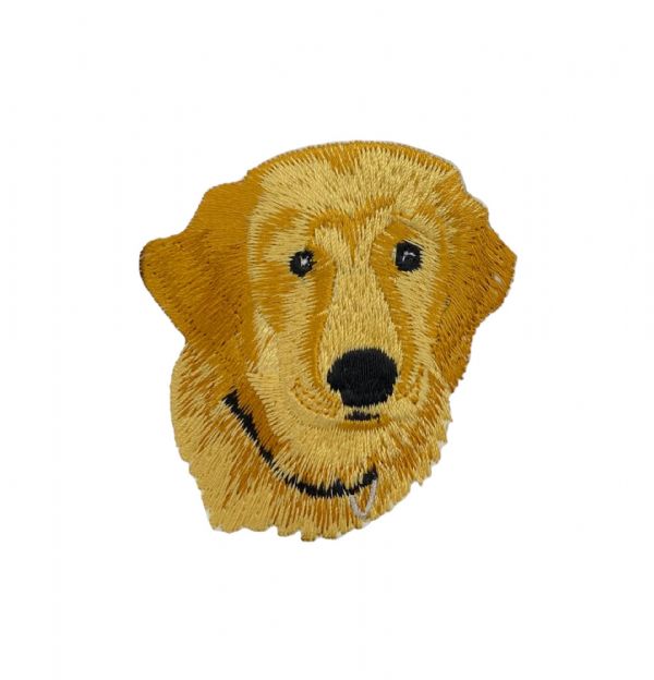 Golden Retriever Head