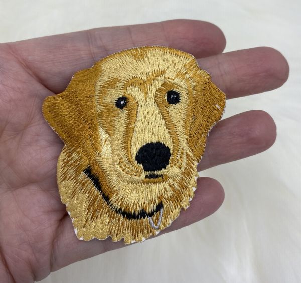 Golden Retriever Head