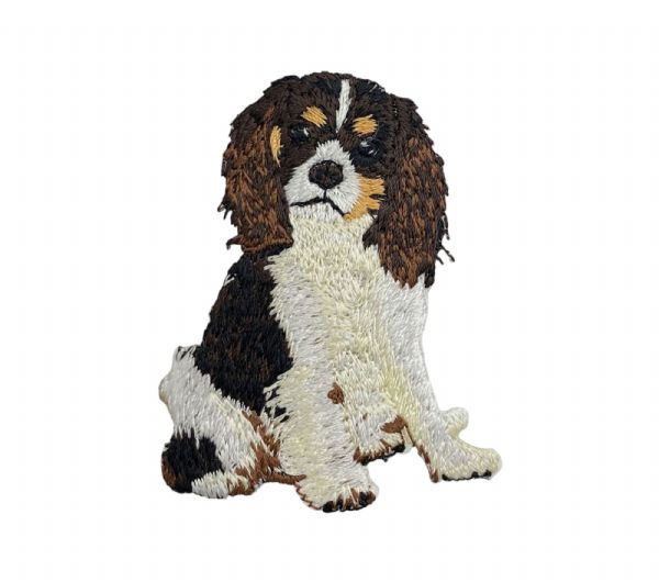 Cavalier King Charles Spaniel