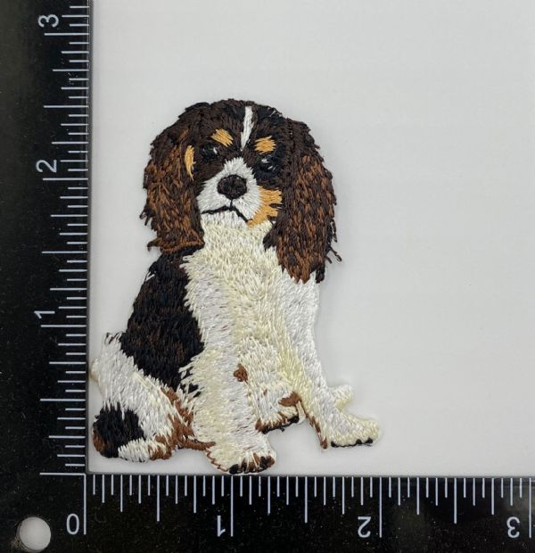 Cavalier King Charles Spaniel