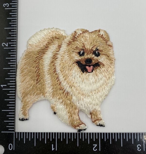 Pomeranian