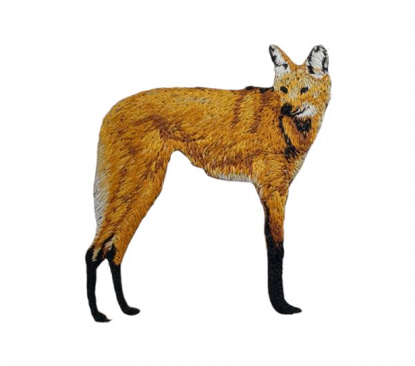 Maned Wolf