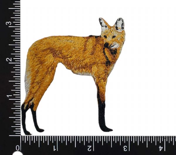 Maned Wolf