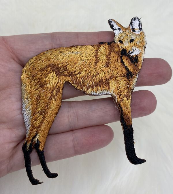 Maned Wolf