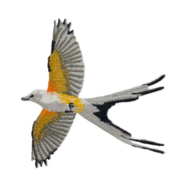 Scissor-tailed Flycatcher