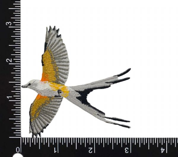 Scissor-tailed Flycatcher