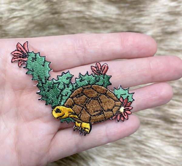 Turtle with Cactus