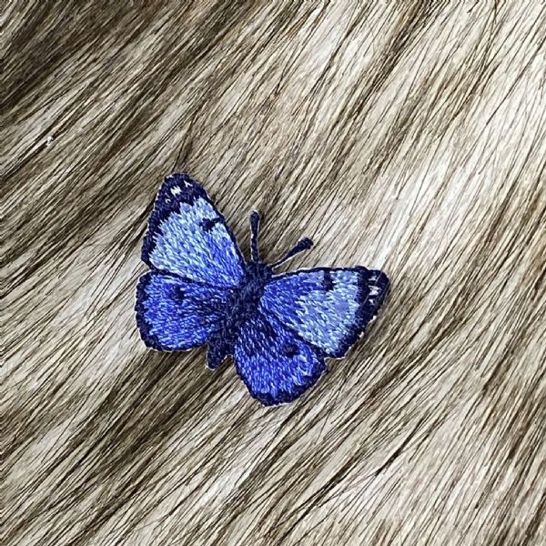 Mini Blue Butterfly
