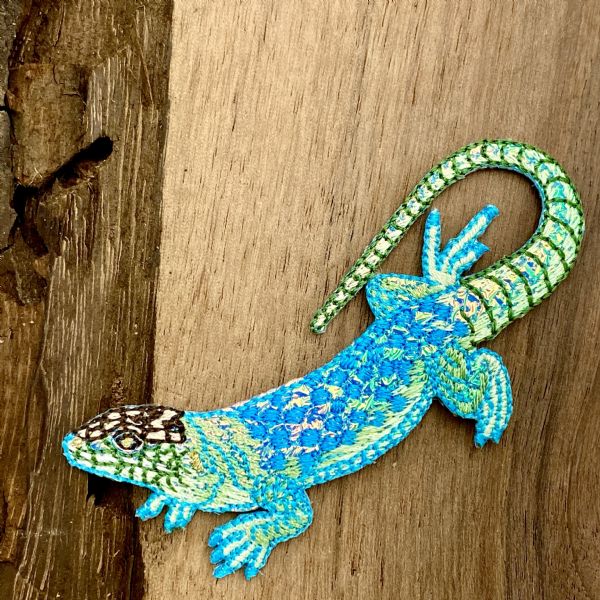 Shiny Blue Lizard