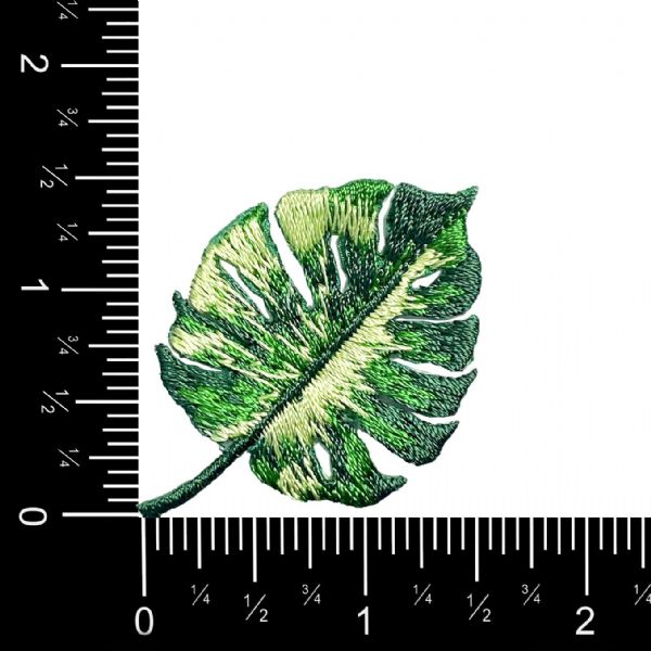 Monstera Leaf