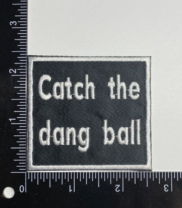 Catch the Dang Ball