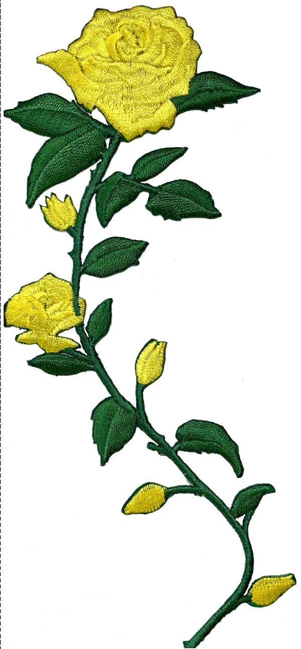 Yellow Roses Curved Stem Facing Left