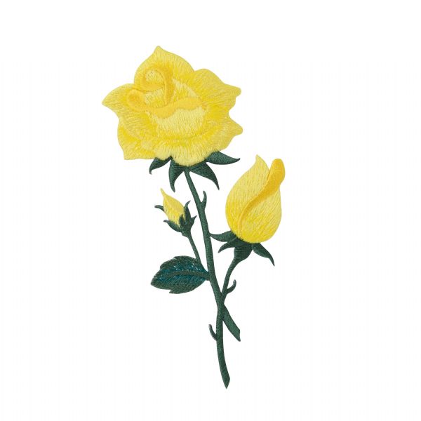 Yellow Shimmery Rose