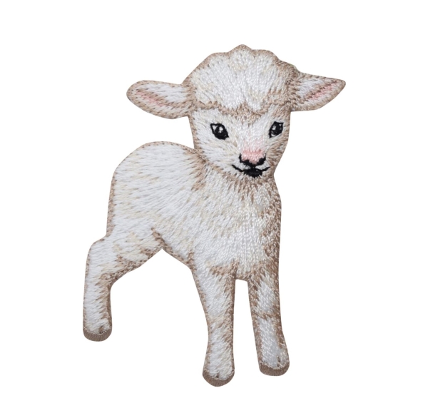 White Baby Lamb