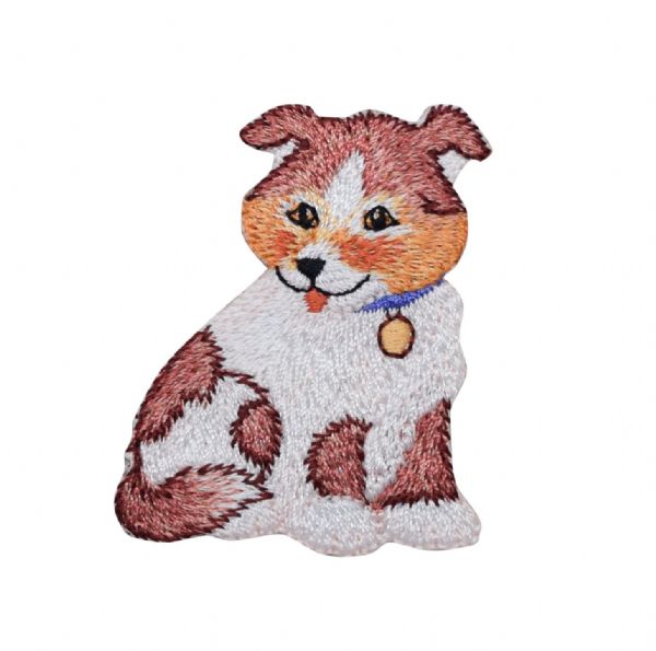 Spotted Brown Dog CLEARANCE