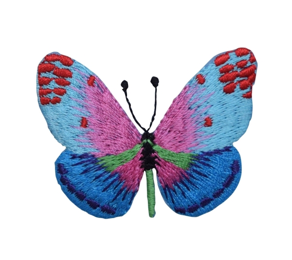 Butterfly - Blue/Pink